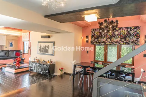 Μονοκατοικία 500τ.μ. προς πώληση φωτογραφία 100