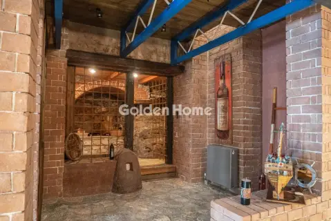 Μονοκατοικία 500τ.μ. προς πώληση φωτογραφία 127