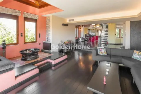 Μονοκατοικία 500τ.μ. προς πώληση φωτογραφία 11