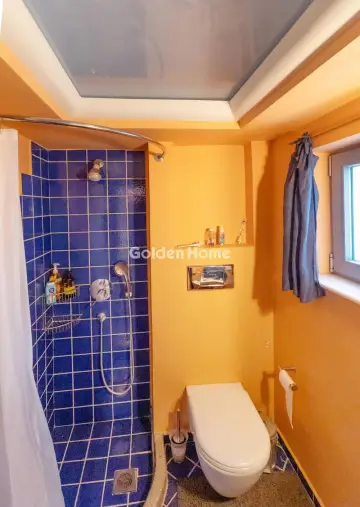 Μονοκατοικία 500τ.μ. προς πώληση φωτογραφία 50