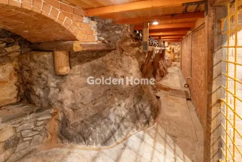 Μονοκατοικία 500τ.μ. προς πώληση φωτογραφία 61