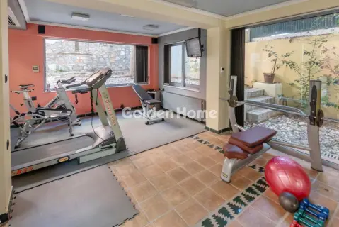 Μονοκατοικία 500τ.μ. προς πώληση φωτογραφία 68