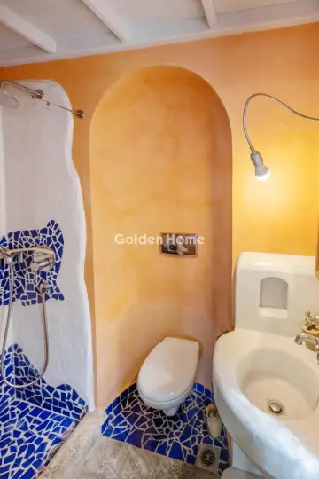 Μονοκατοικία 500τ.μ. προς πώληση φωτογραφία 77