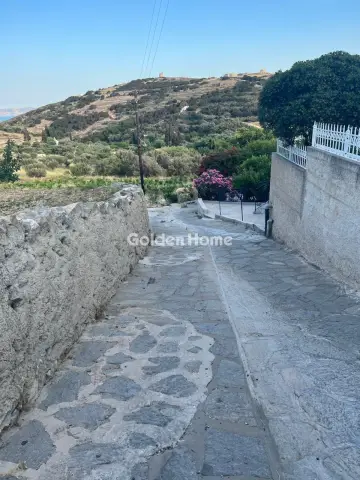 Κτίριο 392τ.μ. προς πώληση φωτογραφία 2