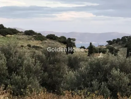 Κτίριο 392τ.μ. προς πώληση φωτογραφία 1