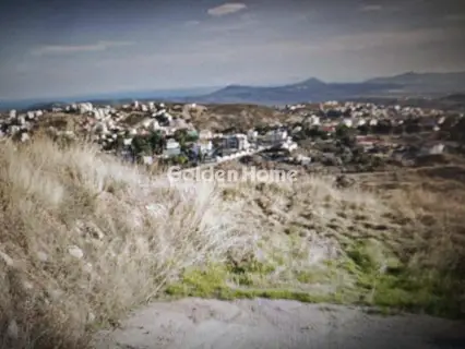 Οικιστικό 3016τ.μ. προς πώληση φωτογραφία 5330104