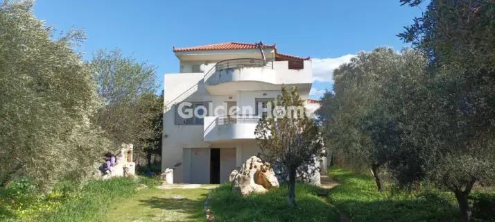 Golden Home Property Image