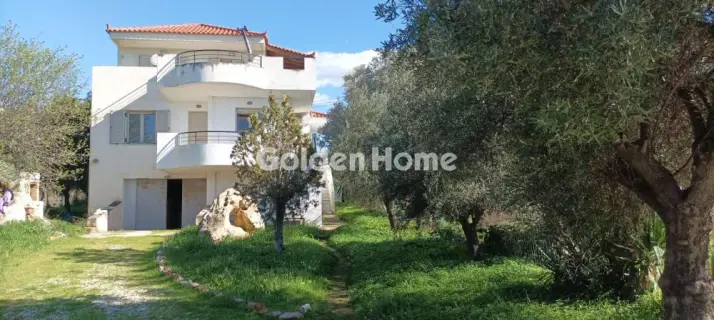 Golden Home Property Image