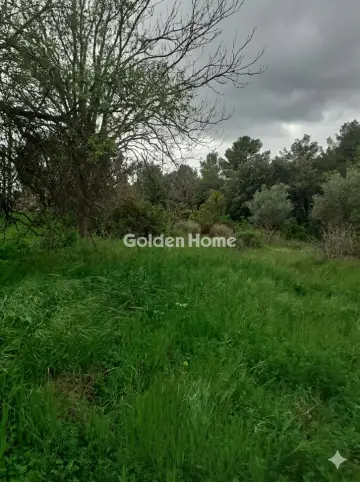 Οικιστικό 320τ.μ. προς πώληση φωτογραφία 2