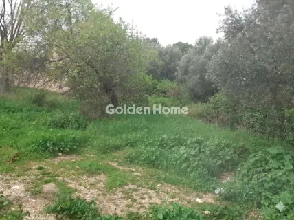 Οικιστικό 320τ.μ. προς πώληση φωτογραφία 3