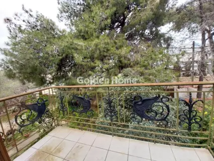 Μονοκατοικία 350τ.μ. προς πώληση φωτογραφία 46