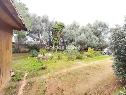 Μονοκατοικία 350τ.μ. προς πώληση φωτογραφία 47