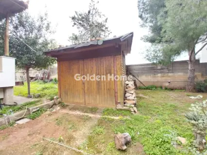 Μονοκατοικία 350τ.μ. προς πώληση φωτογραφία 43