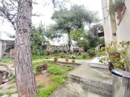 Μονοκατοικία 350τ.μ. προς πώληση φωτογραφία 41