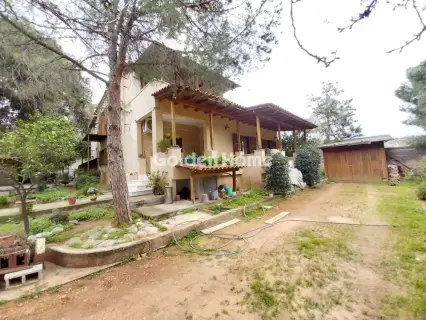 Μονοκατοικία 350τ.μ. προς πώληση φωτογραφία 53