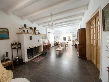 Μονοκατοικία 350τ.μ. προς πώληση φωτογραφία 7