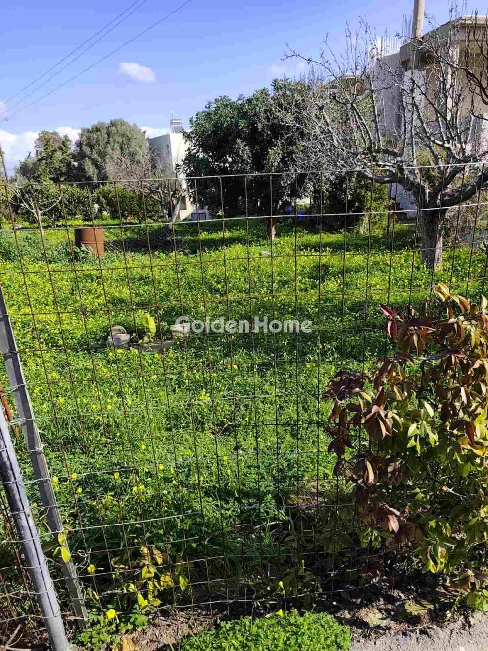 Οικιστικό 732τ.μ. προς πώληση φωτογραφία προβολής