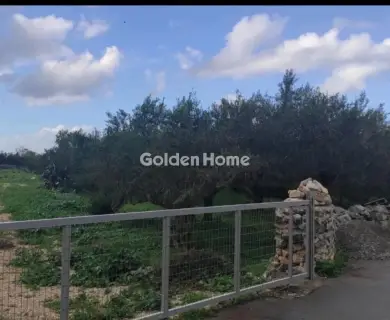 Οικιστικό 1026τ.μ. προς πώληση φωτογραφία 12