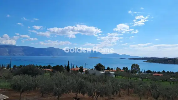 Μονοκατοικία 245τ.μ. προς πώληση φωτογραφία 6