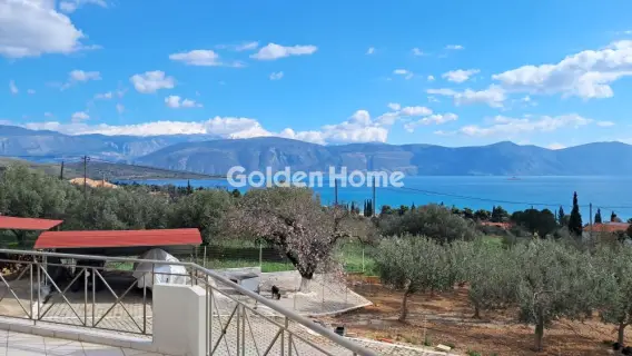 Μονοκατοικία 245τ.μ. προς πώληση φωτογραφία 19