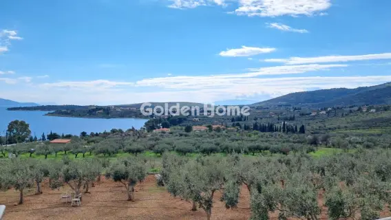 Μονοκατοικία 245τ.μ. προς πώληση φωτογραφία 26