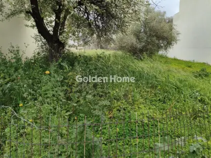 Residential 305m<sup>2</sup> for sale photo 5341145