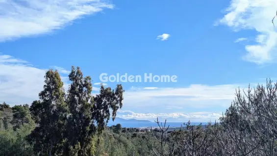 Residential 548m<sup>2</sup> for sale photo 5341627