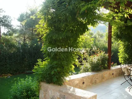 Μονοκατοικία 480τ.μ. προς πώληση φωτογραφία 31