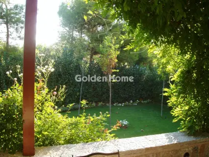 Μονοκατοικία 480τ.μ. προς πώληση φωτογραφία 33