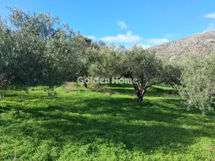 Residential 736m<sup>2</sup> for sale photo 5292145