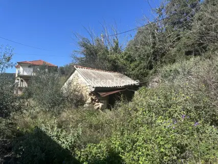 Μονοκατοικία 185τ.μ. προς πώληση φωτογραφία 5314936