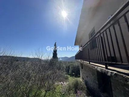 Μονοκατοικία 185τ.μ. προς πώληση φωτογραφία 5314938