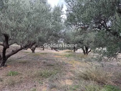 Διαμέρισμα 65τ.μ. προς πώληση φωτογραφία 1