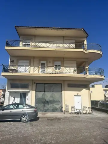 Building 300m<sup>2</sup> for sale photo 6