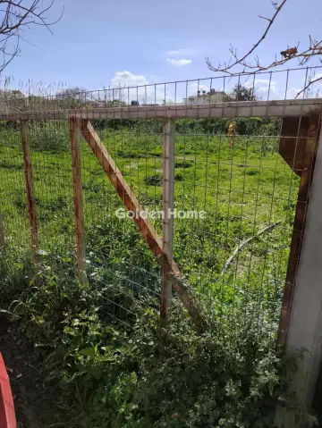 Αγροτεμάχιο 548τ.μ. προς πώληση φωτογραφία 1