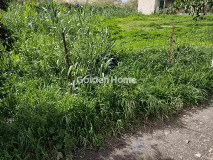 Αγροτεμάχιο 548τ.μ. προς πώληση φωτογραφία 2