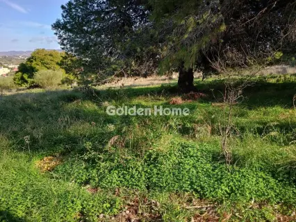 Αγροτεμάχιο 8308τ.μ. προς πώληση φωτογραφία 1