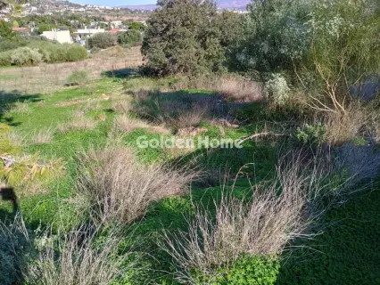 Αγροτεμάχιο 8308τ.μ. προς πώληση φωτογραφία 2