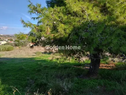 Αγροτεμάχιο 8308τ.μ. προς πώληση φωτογραφία 6