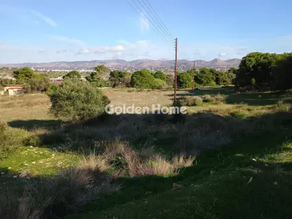 Αγροτεμάχιο 8308τ.μ. προς πώληση φωτογραφία 3