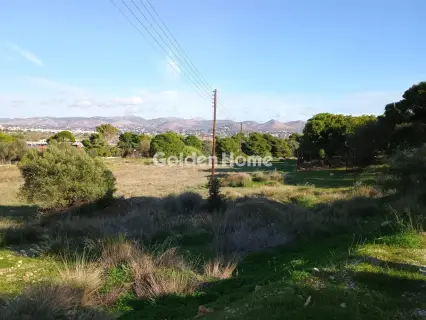 Αγροτεμάχιο 8308τ.μ. προς πώληση φωτογραφία 8