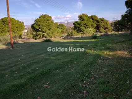 Αγροτεμάχιο 8308τ.μ. προς πώληση φωτογραφία 10