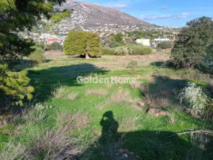 Αγροτεμάχιο 8308τ.μ. προς πώληση φωτογραφία 12