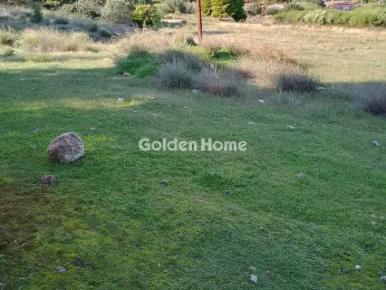 Αγροτεμάχιο 8308τ.μ. προς πώληση φωτογραφία 11