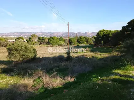 Αγροτεμάχιο 8308τ.μ. προς πώληση φωτογραφία 13