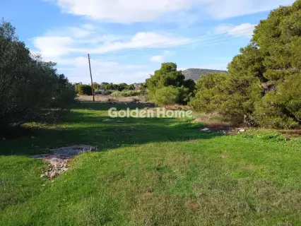 Αγροτεμάχιο 8308τ.μ. προς πώληση φωτογραφία 14