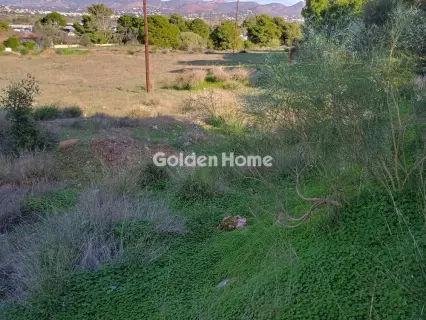 Αγροτεμάχιο 8308τ.μ. προς πώληση φωτογραφία 15