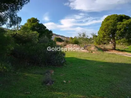 Αγροτεμάχιο 8308τ.μ. προς πώληση φωτογραφία 16