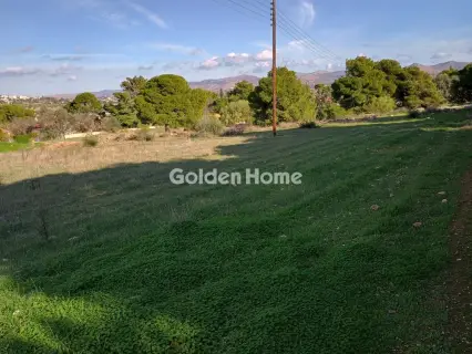 Αγροτεμάχιο 8308τ.μ. προς πώληση φωτογραφία 17