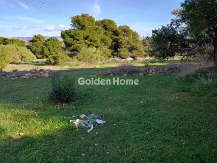 Αγροτεμάχιο 8308τ.μ. προς πώληση φωτογραφία 18